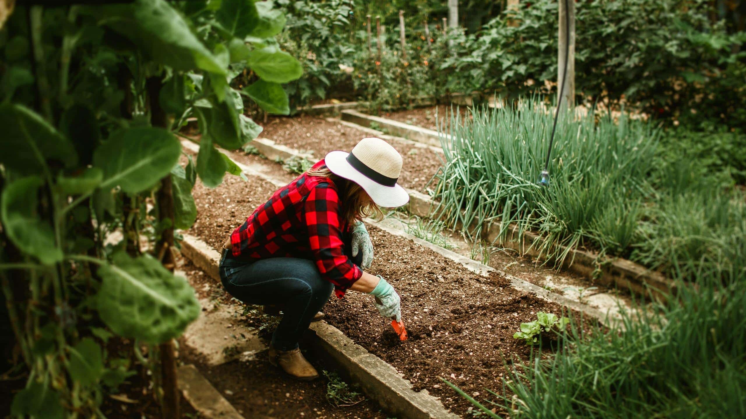 préparer un potager
