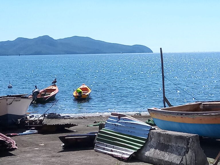 écologie décoloniale